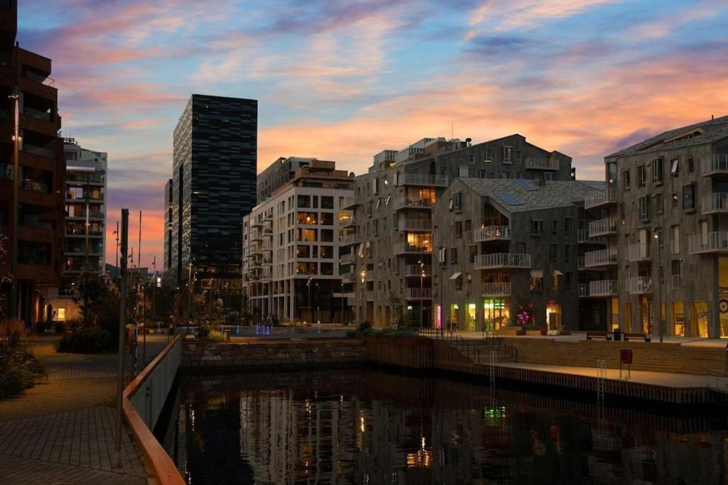 Lovely Central Apartment With Two Large Bedrooms Nearby Oslo Opera, Vis A Vis Botanical Garden エクステリア 写真